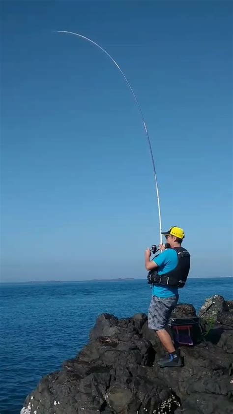 好想釣魚|從零開始學釣魚指南 